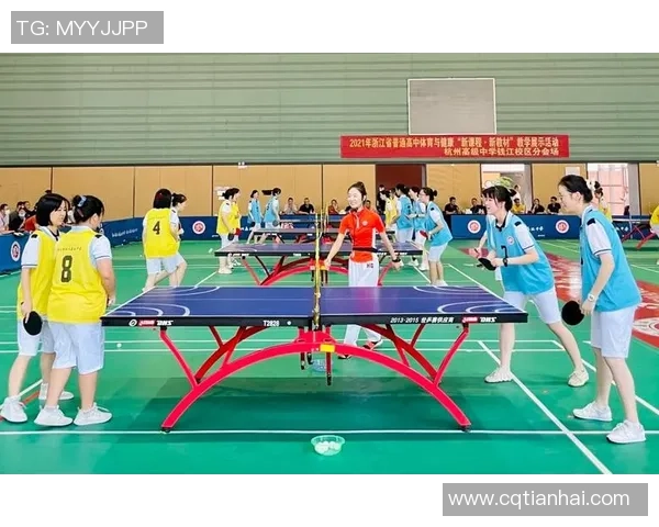 杭州羽毛球队在城市联赛中的技术表现分析与点评