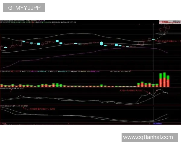 重庆篮球队在钻石联赛中的强势表现与未来发展潜力分析 重庆篮球队在钻石联赛中的强势表现与未来发展潜力分析