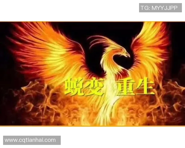 上海排球队的蜕变与重生：从传统强队到现代竞技的转型之路