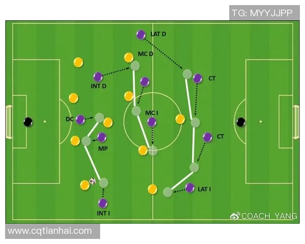 广州篮球队在锦标赛中的默契配合与战术执行分析
