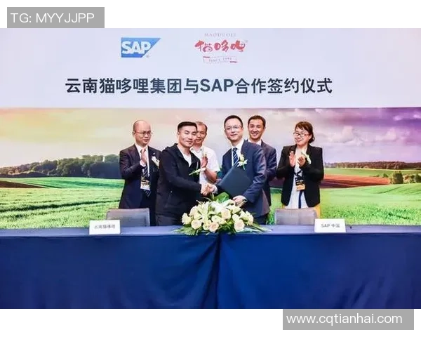 开云足球明星代言助力品牌形象提升与市场拓展新机遇