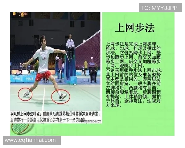 西安羽毛球队的训练与战术分析深入探讨羽毛球运动的控制与技巧