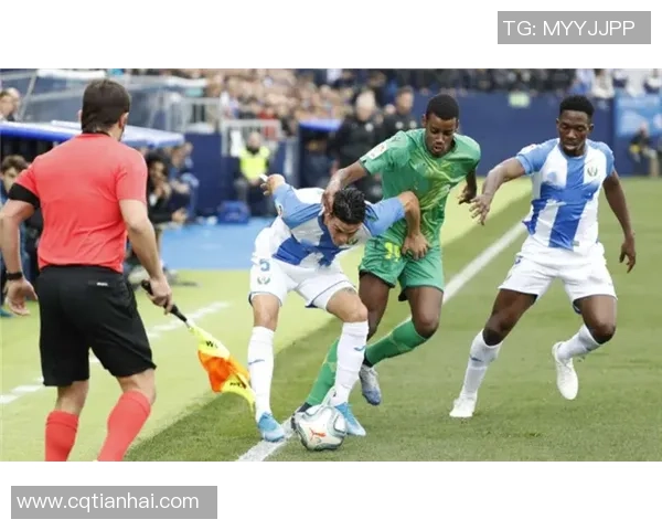 南京足球队在欧锦赛积分榜上以83分稳居第一位置展现强劲实力